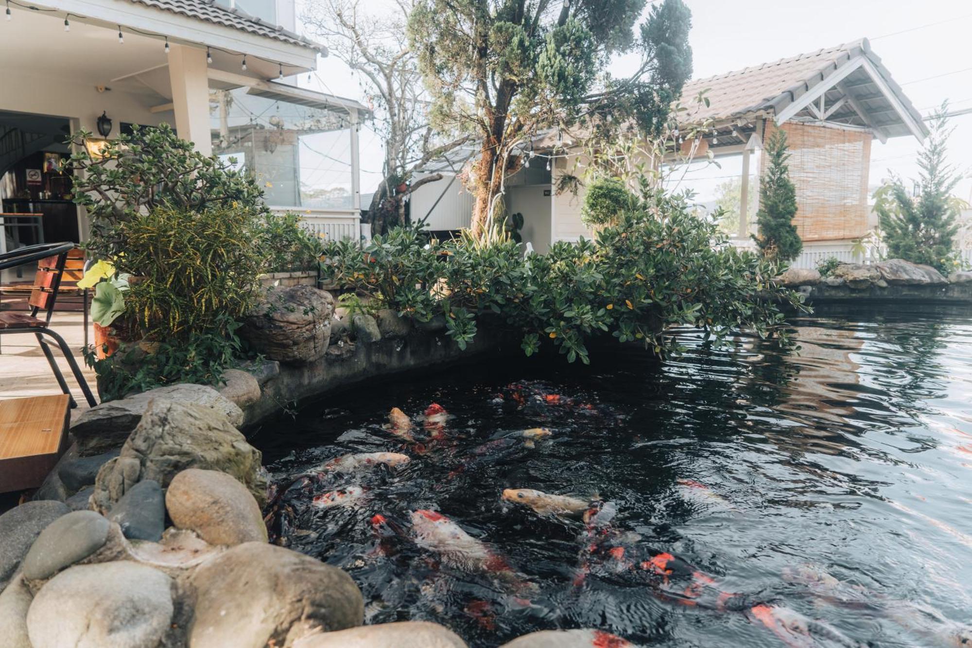 Villa Hotel Du Thuyen Đà Lạt Extérieur photo